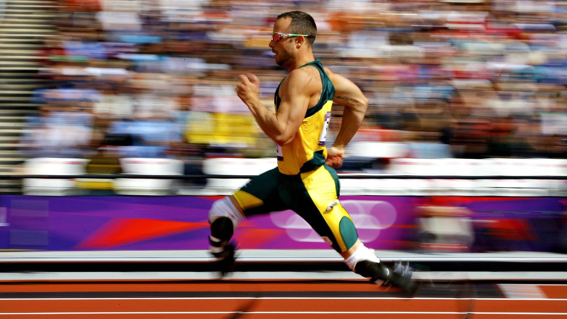 【棒球文化】从体育到文化的多样展现，棒球队文化